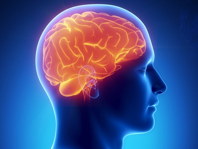 https://assets1.cbsnewsstatic.com/hub/i/r/2012/02/17/104eec25-c44a-11e2-a43e-02911869d855/thumbnail/640x480/9032ac08668a6e1926ac00692c3afbfb/brain_000017465619.jpg?v=5382e209c94ee904b3a96a69f8ca0ce0 Consuming three or more alcoholic drinks daily may raise risk for hemorrhagic stroke - CBS News