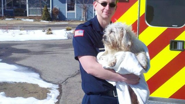 rescued-dog-and-firefighter-from-mountain-view-fire-rescue.jpg 