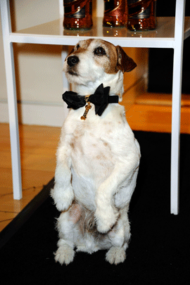 056-WEIN-UGGIE-G.gif 
