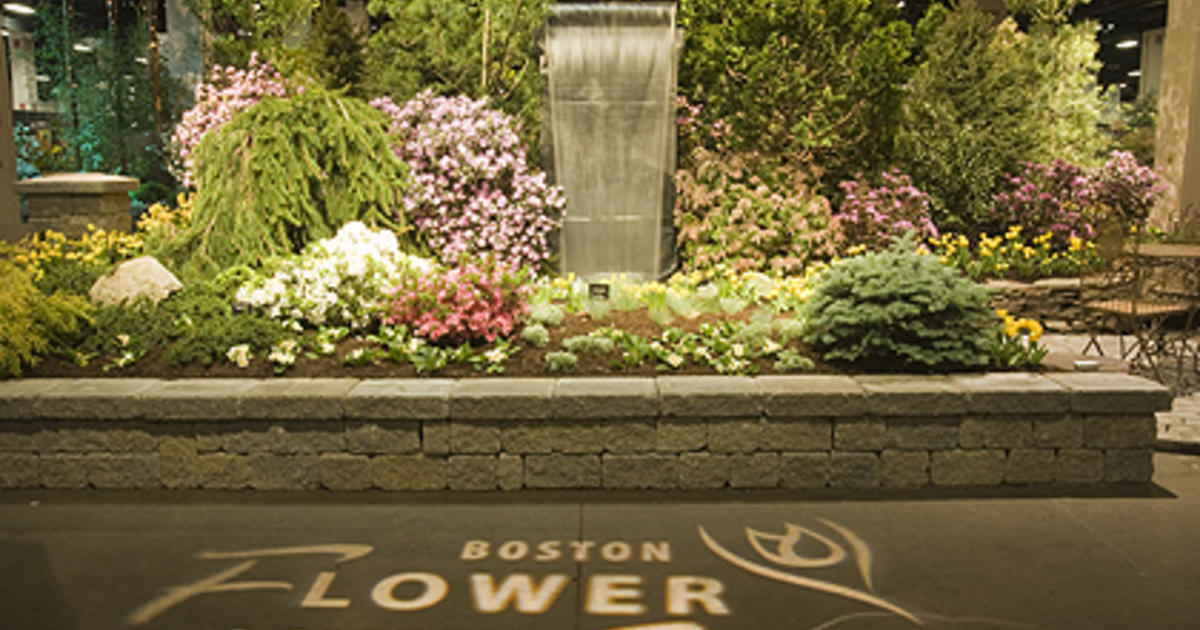 Boston Flower & Garden Show Opens Wednesday CBS Boston