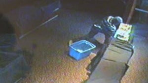 hobart_ind_heist_-_cbs_chicago.jpg 