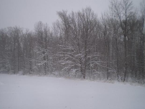 2-29-snow-randall-mn.jpg 
