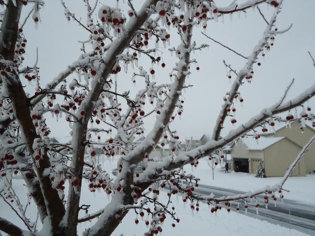 2-29-snow_josiah-berry_waconia.jpg 