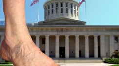 Ohio-Statehouse-with-a-pair-of-bare_244x183.jpg 