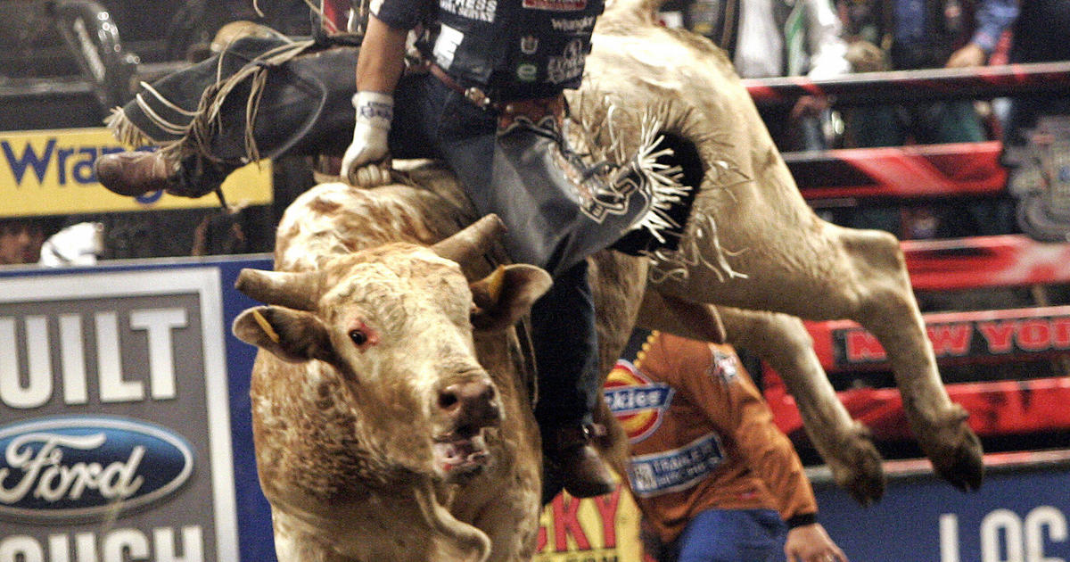 10 Best Things To Know About The Tampa Bay Pro Rodeo CW Tampa