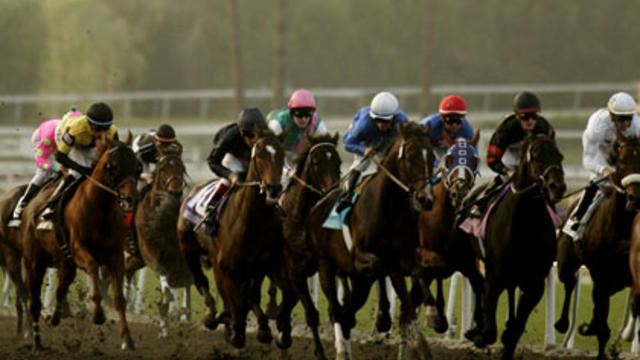race-horses.jpg 