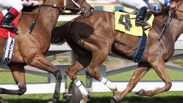 In image released by HBO, horses race in scene from the HBO original series "Luck" 