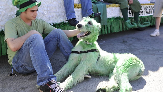 St. Patrick's Day, Chicago 