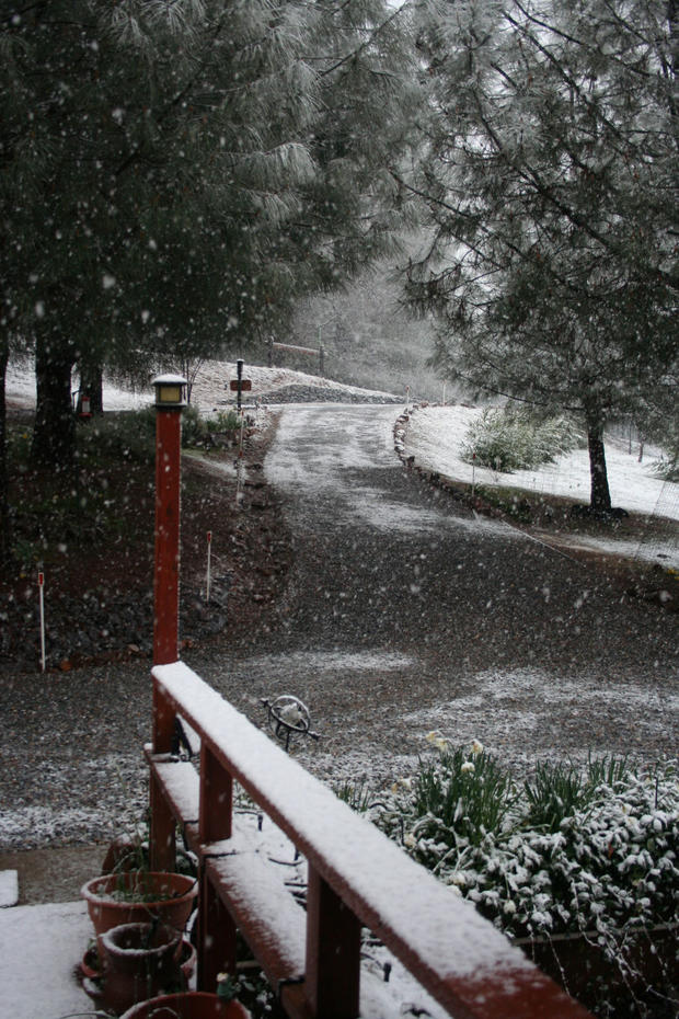 snow-falling-in-placerville-from-barb.jpg 