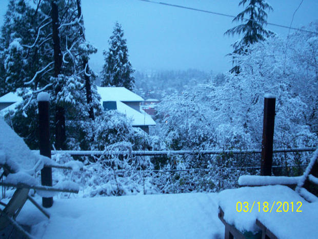 snow-above-main-st-in-placerville-from-jeri.jpg 