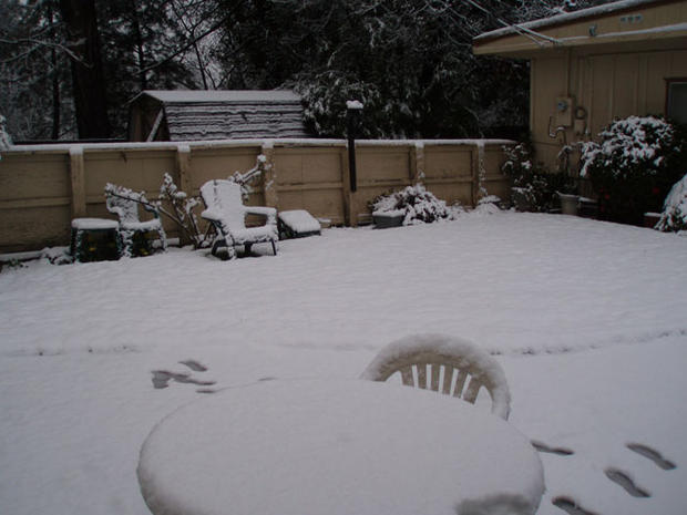 placerville-snow-from-tom-gibney.jpg 