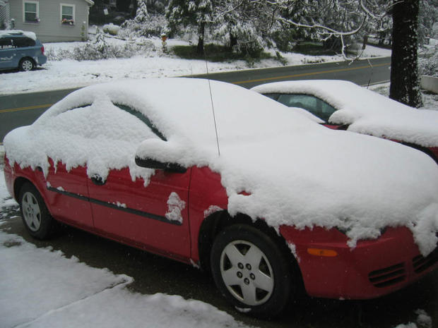 snow-covered-car-in-pine-grove-from-velondra.jpg 