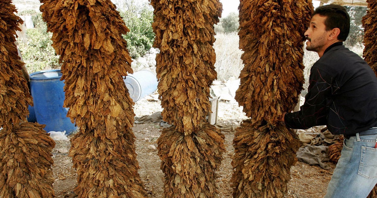 stonewall tobacco tablets FDA: Dissolvable tobacco better for health, but could lead to more users
