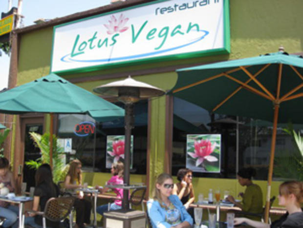 lotus vegan 