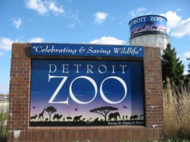 Detroit Zoo 
