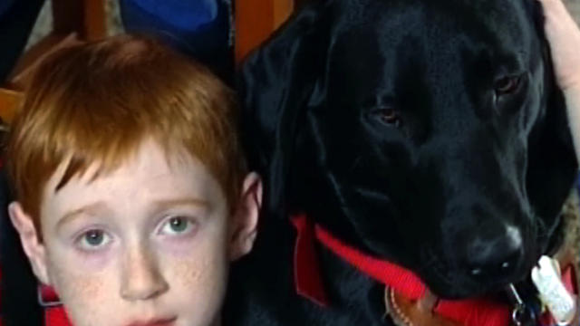 Service dogs improving lives of autistic children 