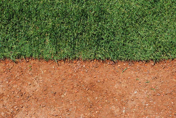 Rangers Ballpark Grass 