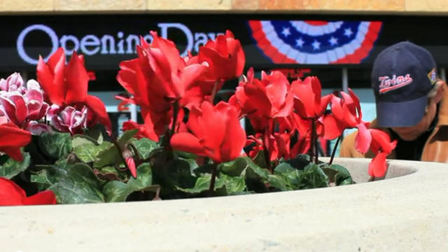 twins-opening-day-flowers.jpg 