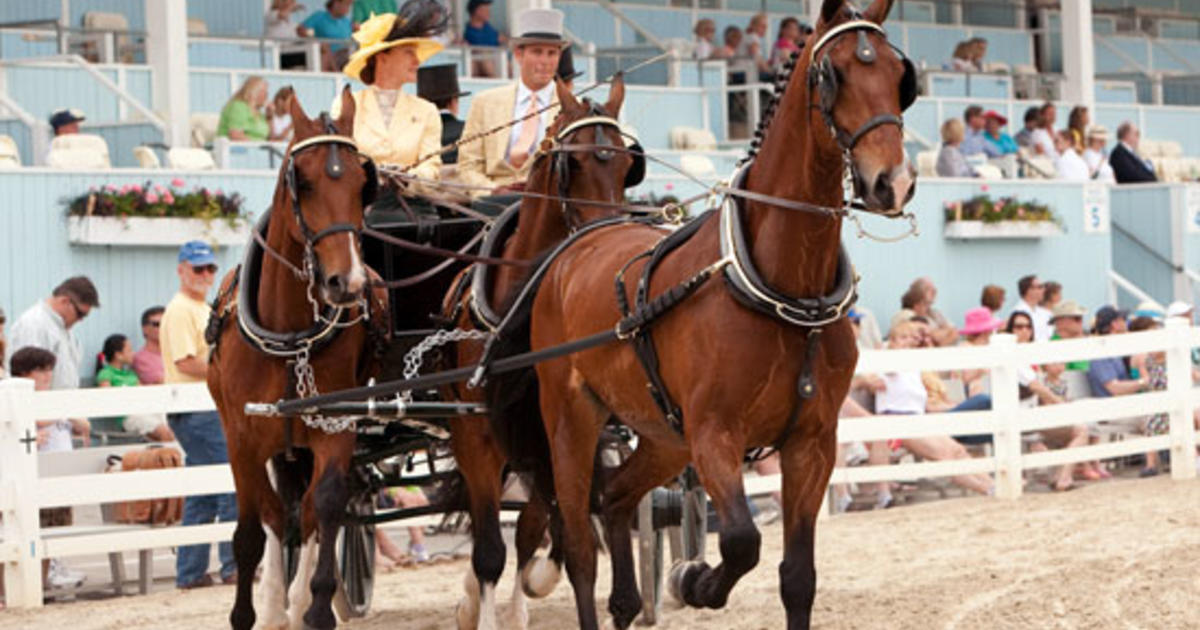 Devon Horse Show And Country Fair Preview CBS Philadelphia