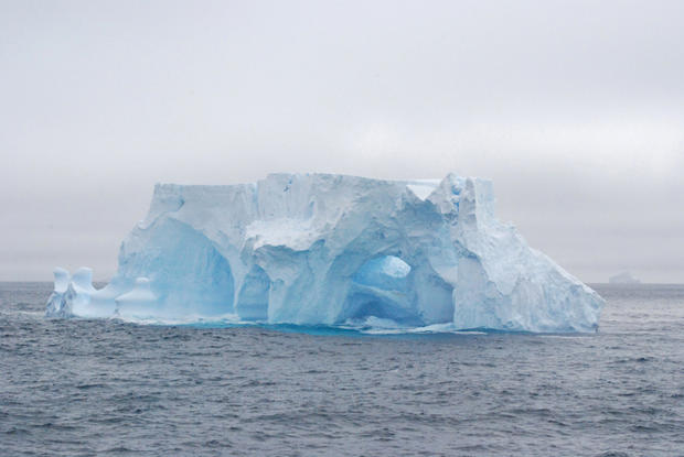 Iceberg off Antarctic Peninsula 