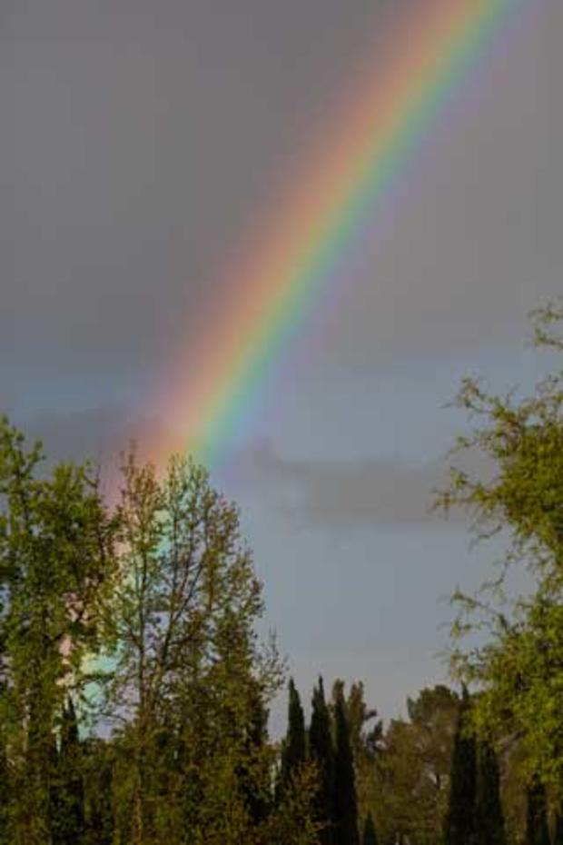 rainbow2.jpg 