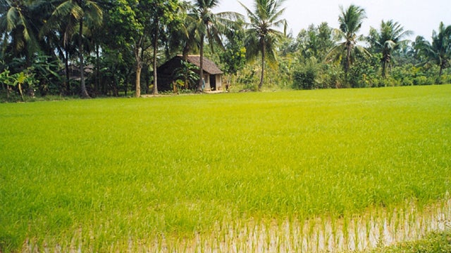 vietnam, countryside 