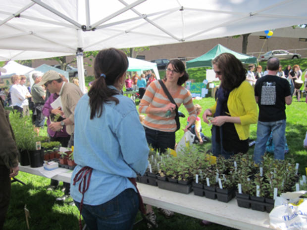 Free &amp; Affordable Mt Lebanon Earth Day  