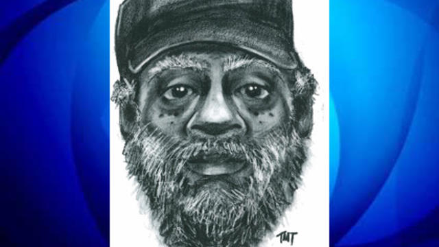 bronx-attempted-kidnapping-sketch.jpg 