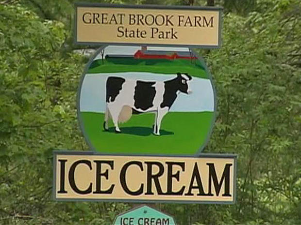 Great Brook Farm 