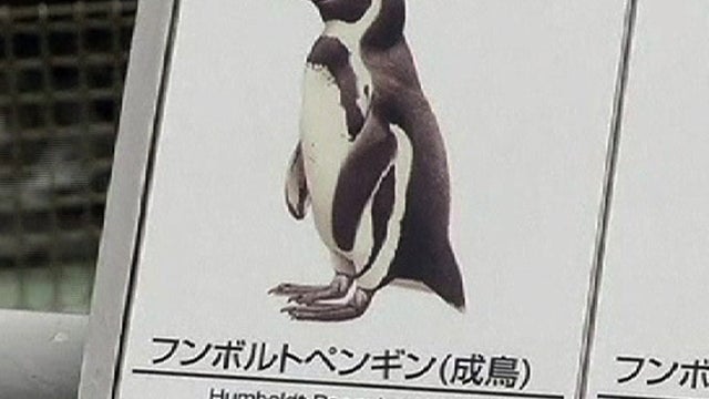penguin_fugitive_516.jpg 