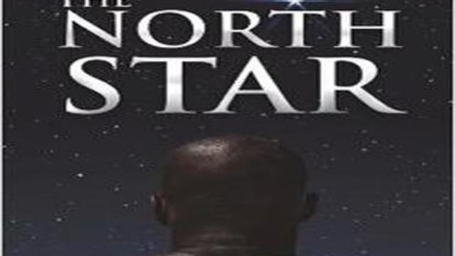 north-star.jpg 