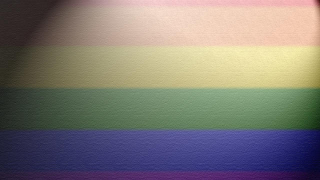 gay-rainbow-flag.jpg 