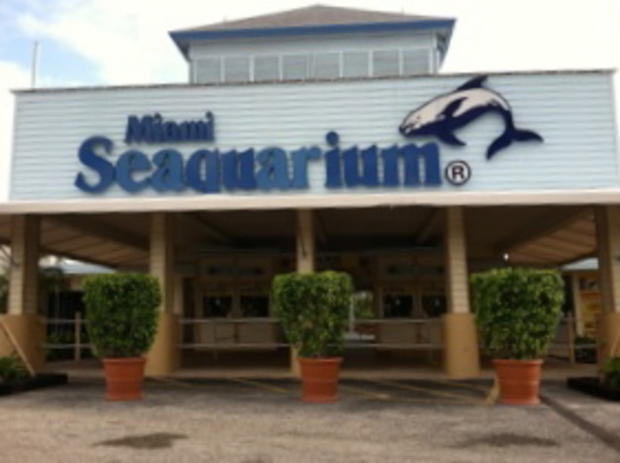 Miami Seaquarium 