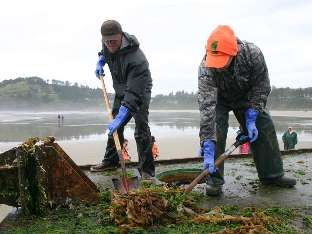 oregon, dock, tsunami 