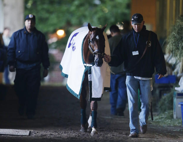 I'll Have Another walks in the barn with groom Benjamin Perez after a morning workout at Belmont Park 