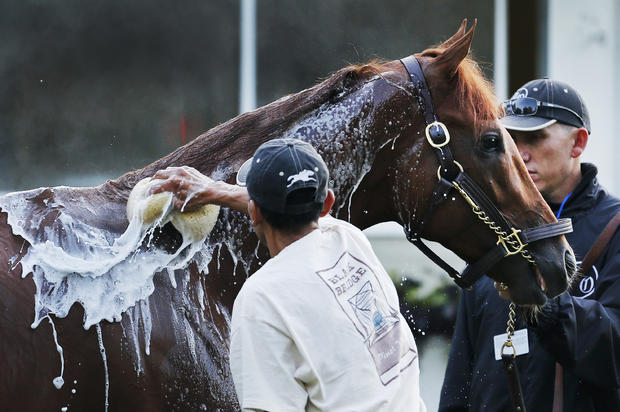 Groom Ignocenzio Diaz washes I'll Have Another following a workout at Belmont Park 