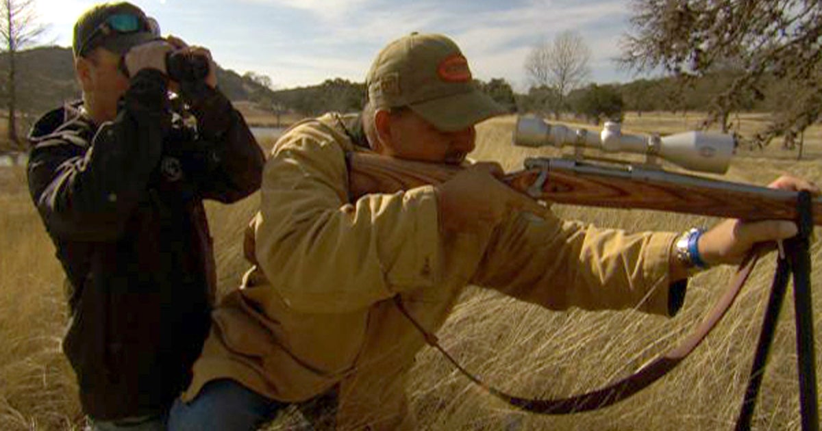 Can hunting endangered animals save the species? CBS News