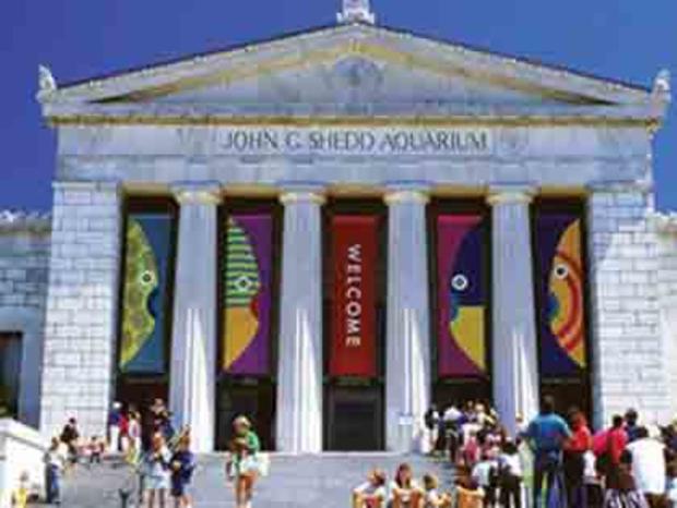 John Shedd Aquarium Exterior - Museum Campus 