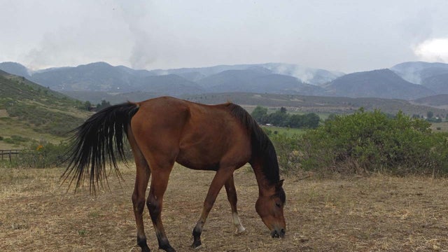 AP120612152146.jpg 
