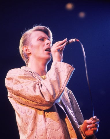 Bowie_vAP7805010159.jpg 