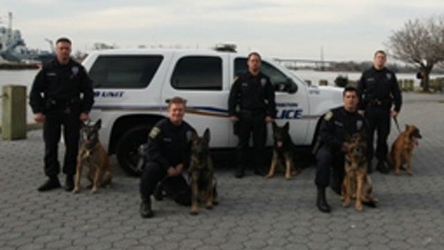 K-9.jpg 