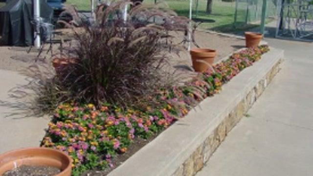 wichita-falls-flower-bed.jpg 