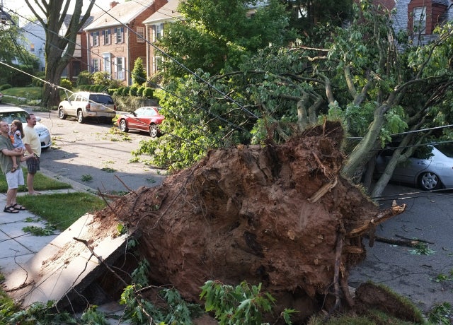 storm_damage_147462608.jpg 