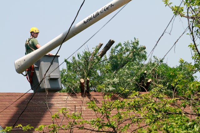 Geoff Largen with Bartlett Tree Experts tries to navigate between lines  