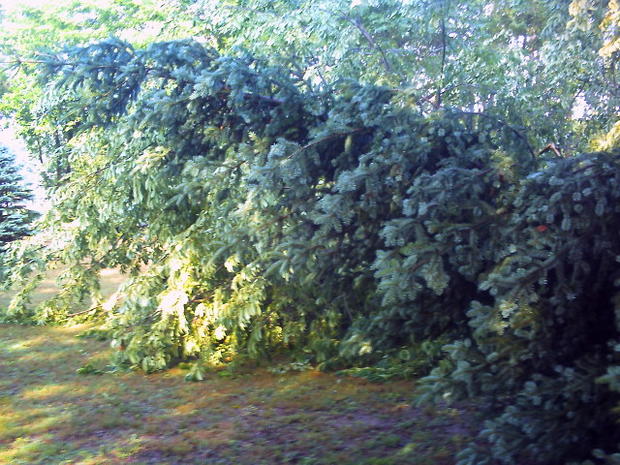 chesterfield-twp-storm-damage-30.jpg 
