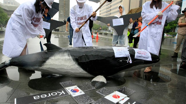 Environmentalists protest whale hunting in South Korea.   