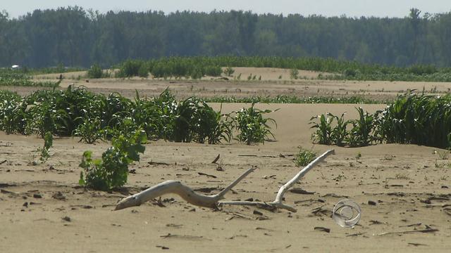 Sand-covered farmland 