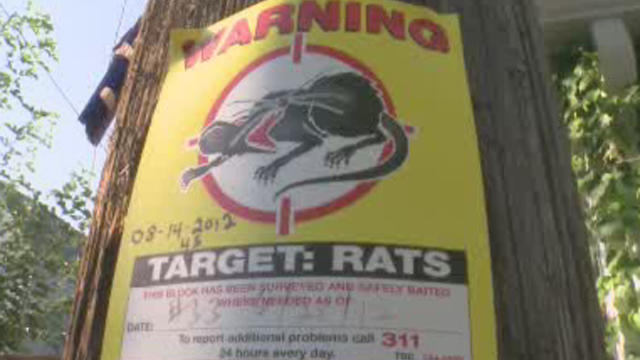rat-warning-sign-0822.jpg 
