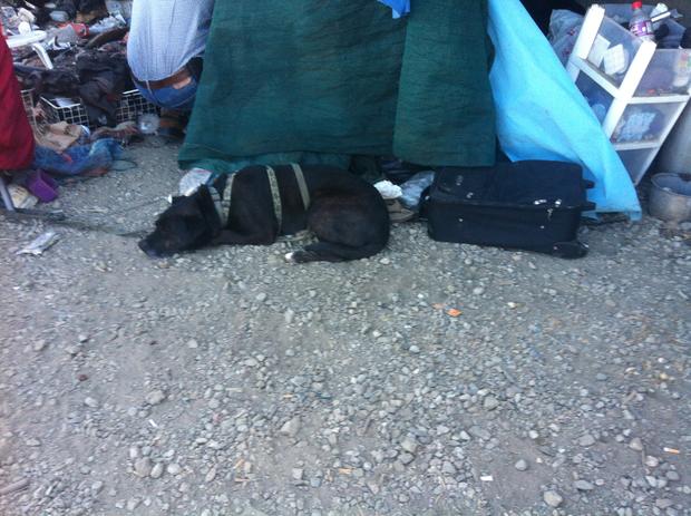homelessencampment-04.jpg 