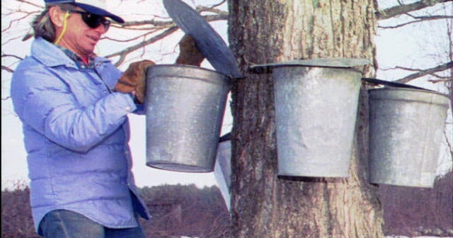 Police investigate massive maple syrup theft CBS News